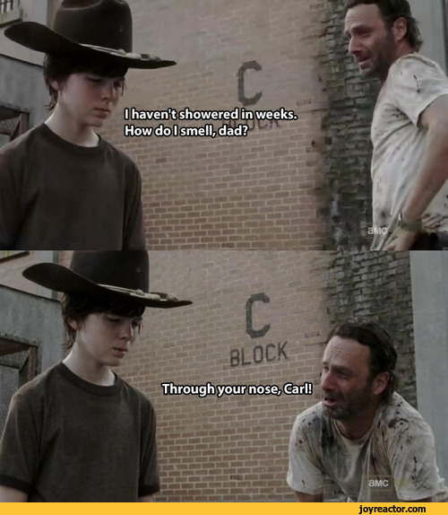 the walking dead :: tv shows :: pun :: tv :: jokes :: series :: more in ...